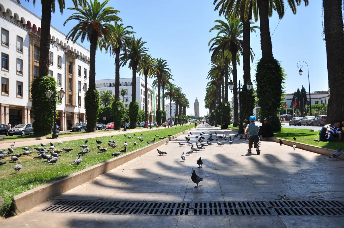 A wide, modern pedestrianized street scene in Rabat featuring families relaxing in the tree shade and a tall mosque minaret in the distance, where your direct private transfer to Marrakech begins.